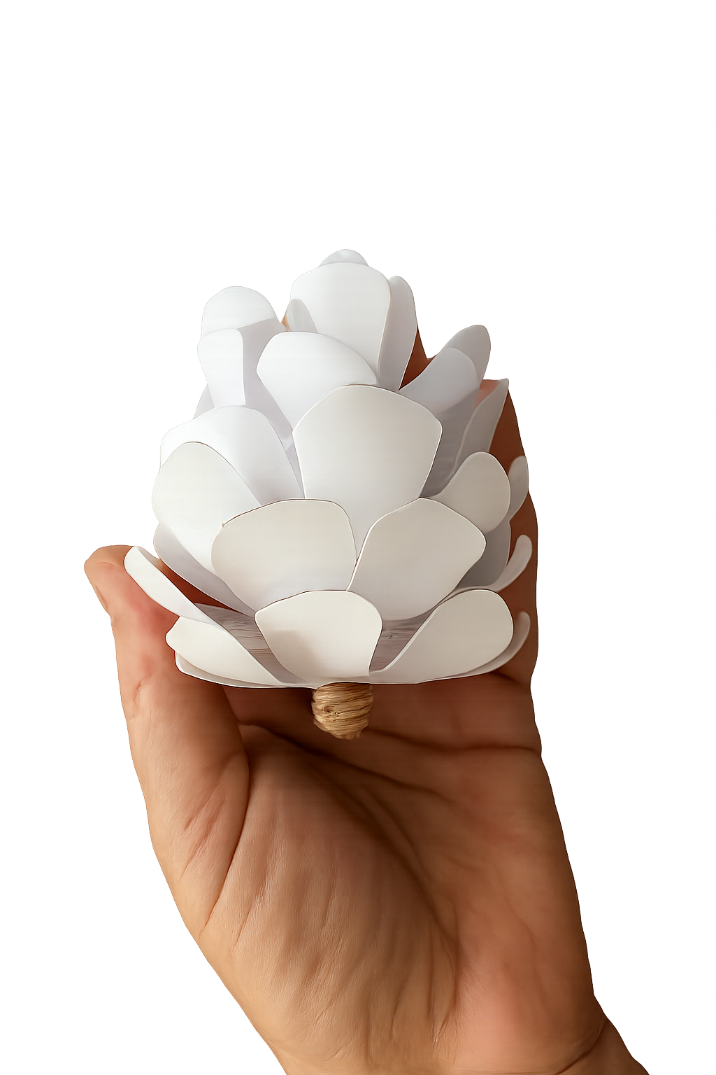 Cut-Color-Craft: Fall 2025